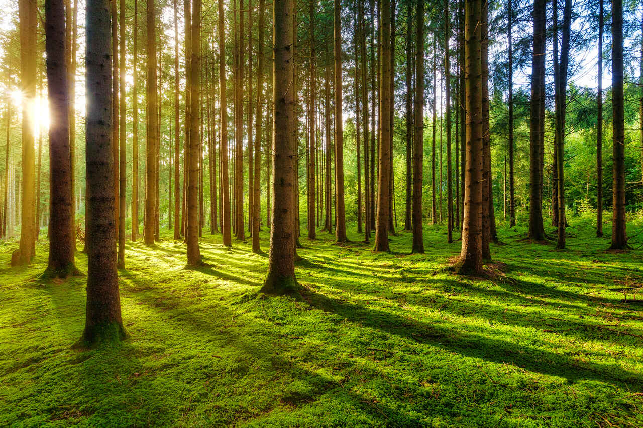 Agroturystyka i natura